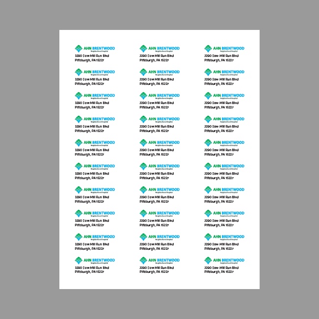 AHN Address Labels (Digital Download, see below)