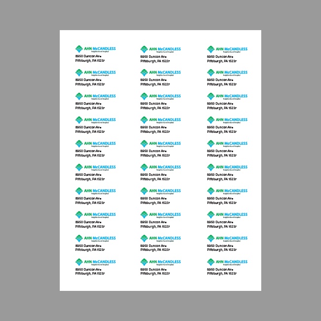 AHN Address Labels (Digital Download, see below) #4