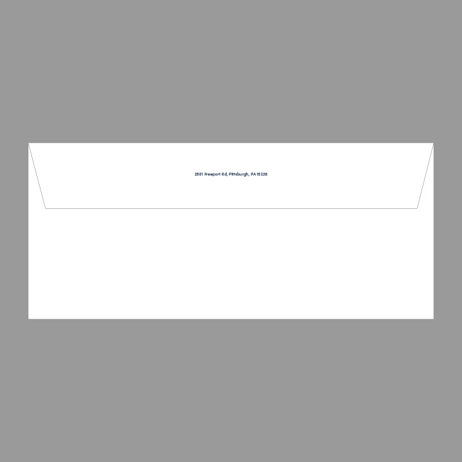 AHN Business Envelope #4