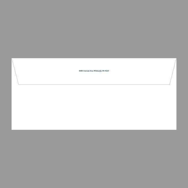 AHN Business Envelope #8