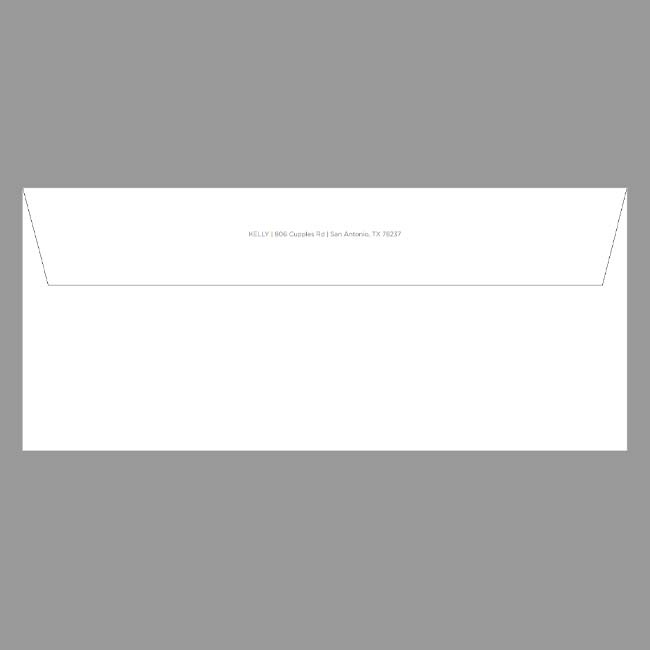 BNH Business Envelope #3