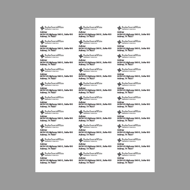 BSWEH Address Labels (Digital Download, see below)