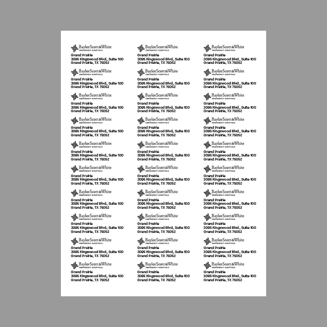 BSWEH Address Labels (Digital Download, see below) #4