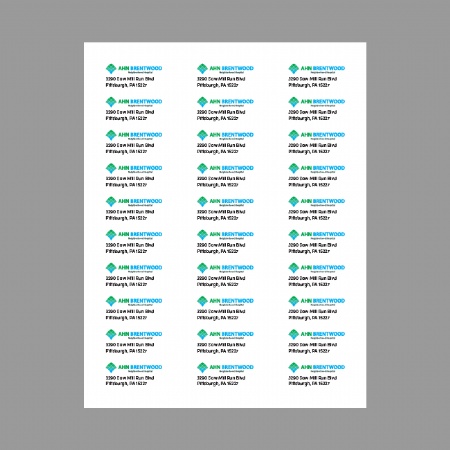 AHN Address Labels (Digital Download, see below)