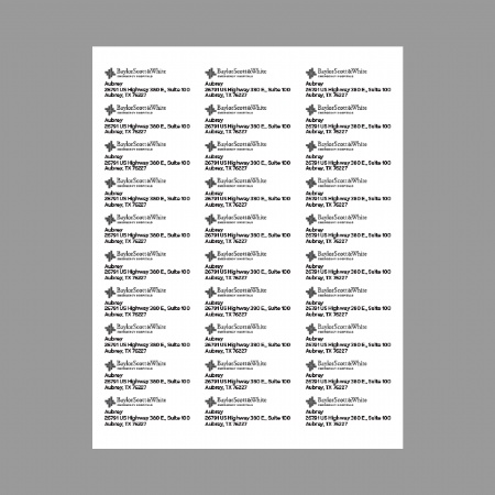 BSWEH Address Labels (Digital Download, see below)