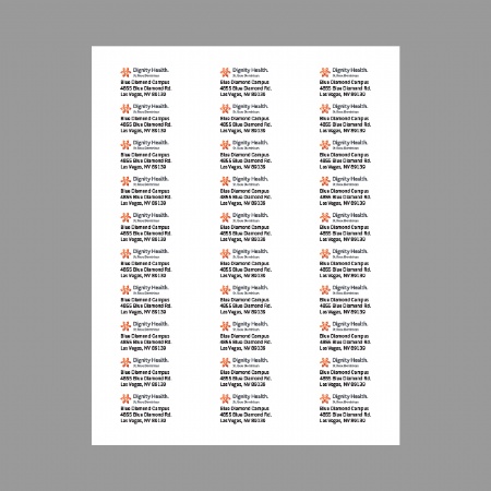 Dignity Health Address Labels (Digital Download, see below)